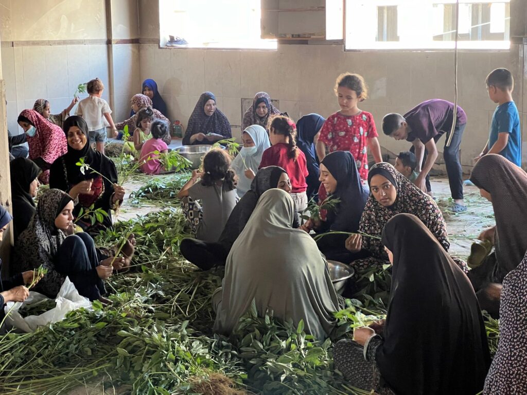 Association Amani - Déjeûner royal pour 1500 Gazaouis - 2024 08 29 dejeuner royal 001
