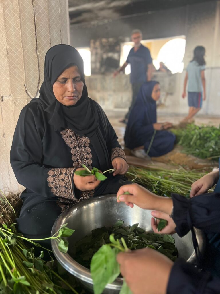 Association Amani - Déjeûner royal pour 1500 Gazaouis - 2024 08 29 dejeuner royal 003