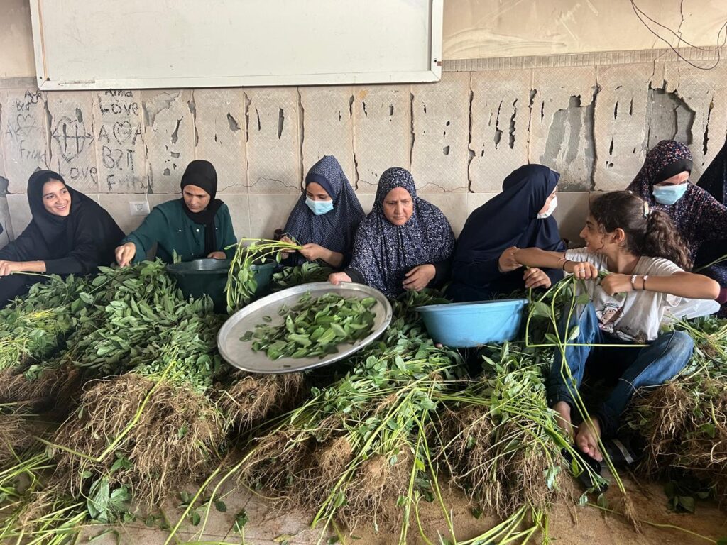 Association Amani - Déjeûner royal pour 1500 Gazaouis - 2024 08 29 dejeuner royal 004