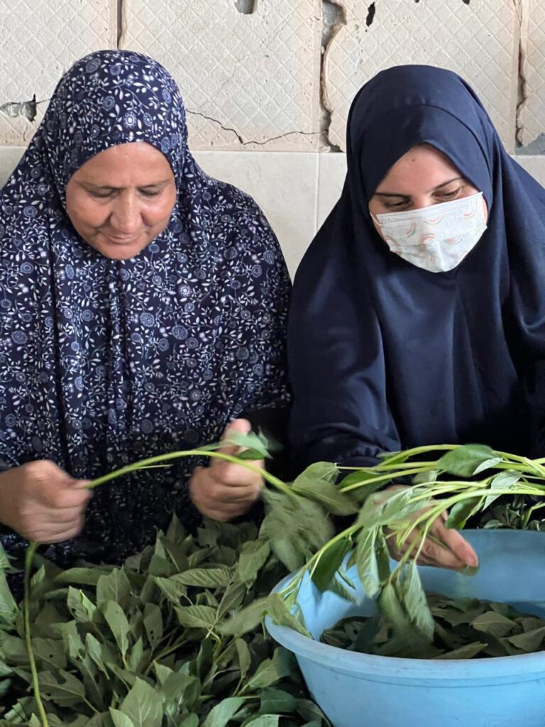 Association Amani - Déjeûner royal pour 1500 Gazaouis - 2024 08 29 dejeuner royal 007