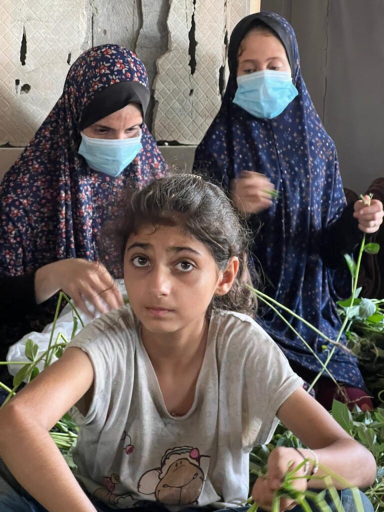 Association Amani - Déjeûner royal pour 1500 Gazaouis - 2024 08 29 dejeuner royal 009