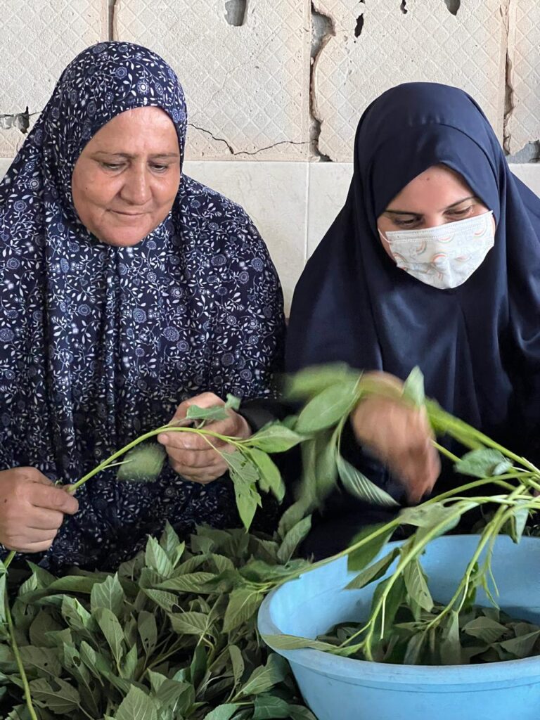 Association Amani - Déjeûner royal pour 1500 Gazaouis - 2024 08 29 dejeuner royal 011