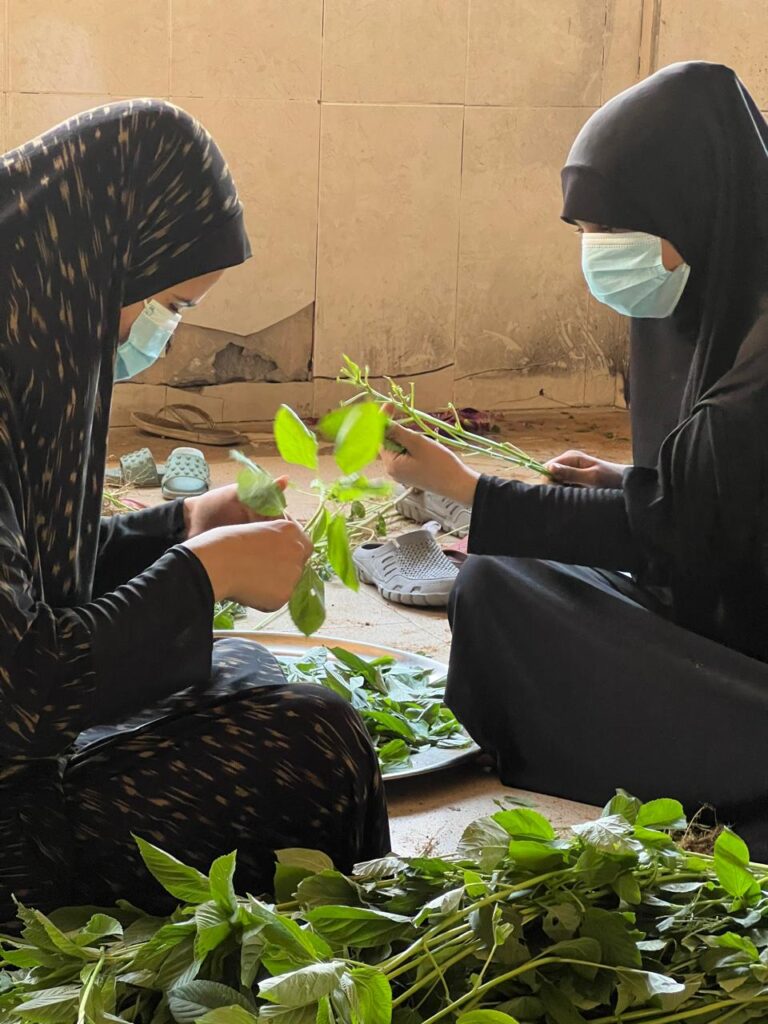 Association Amani - Déjeûner royal pour 1500 Gazaouis - 2024 08 29 dejeuner royal 012
