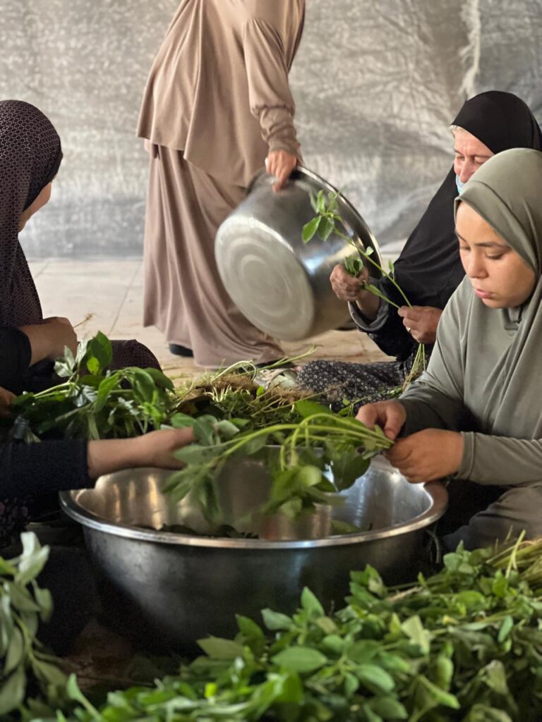 Association Amani - Déjeûner royal pour 1500 Gazaouis - 2024 08 29 dejeuner royal 014