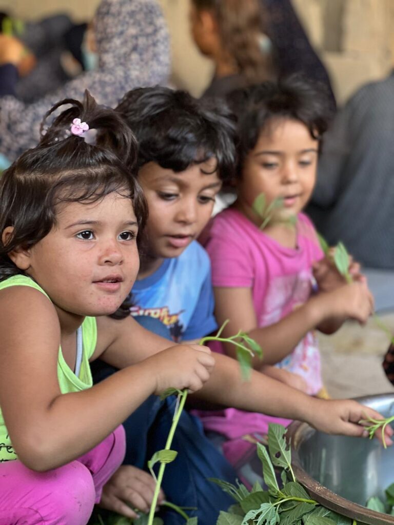 Association Amani - Déjeûner royal pour 1500 Gazaouis - 2024 08 29 dejeuner royal 019