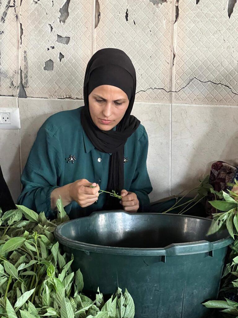 Association Amani - Déjeûner royal pour 1500 Gazaouis - 2024 08 29 dejeuner royal 021