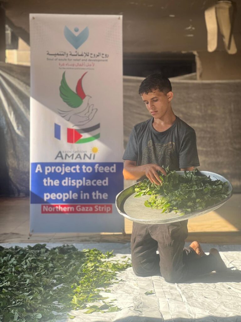 Association Amani - Déjeûner royal pour 1500 Gazaouis - 2024 08 29 dejeuner royal 024