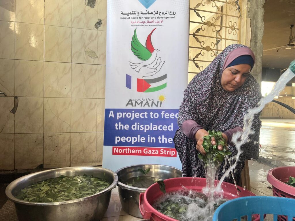 Association Amani - Déjeûner royal pour 1500 Gazaouis - 2024 08 29 dejeuner royal 025