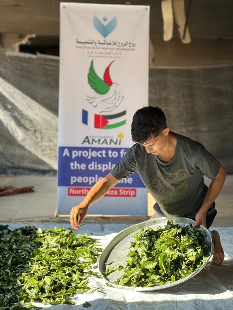 Association Amani - Déjeûner royal pour 1500 Gazaouis - 2024 08 29 dejeuner royal 026